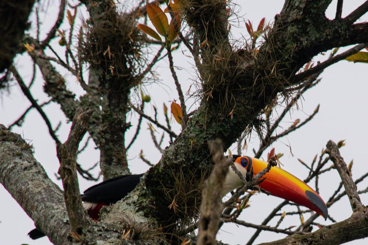 Pousada Terra Dos Passaros Sao Bento do Sapucai Bagian luar foto