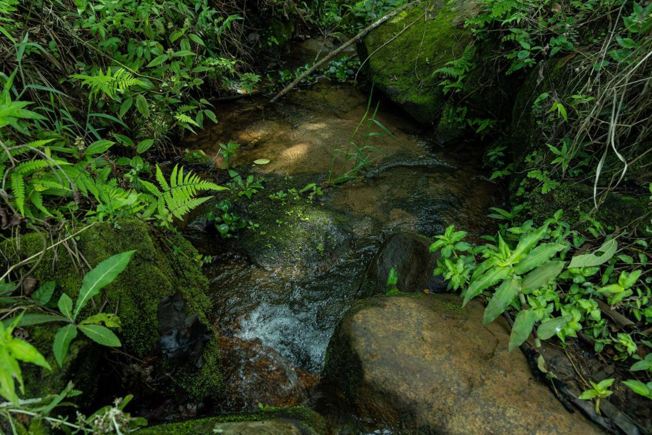 Pousada Terra Dos Passaros Sao Bento do Sapucai Bagian luar foto
