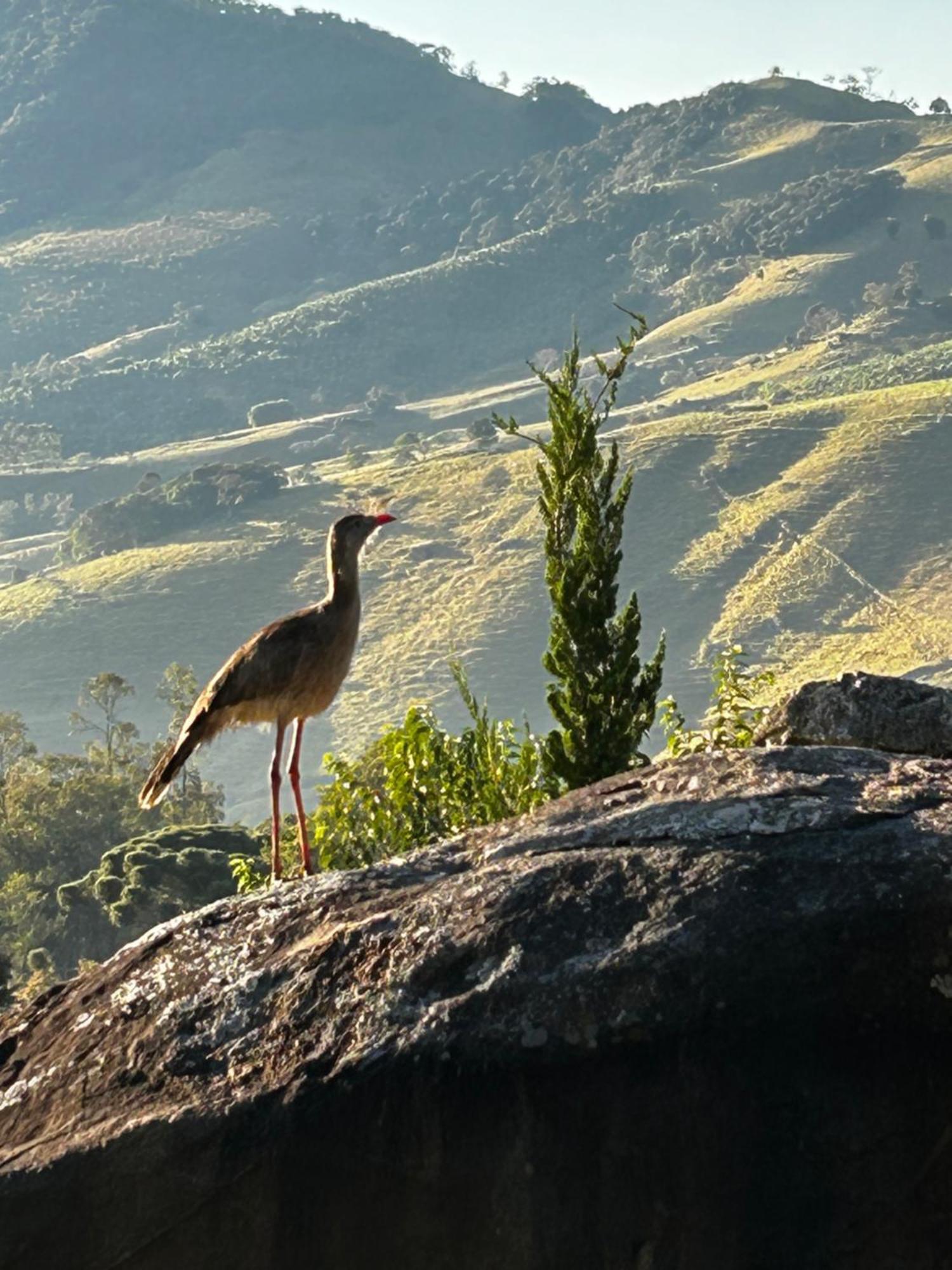 Pousada Terra Dos Passaros Sao Bento do Sapucai Bagian luar foto